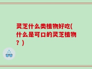 灵芝什么类植物好吃(什么是可口的灵芝植物？)