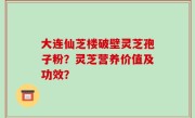大连仙芝楼破壁灵芝孢子粉？灵芝营养价值及功效？
