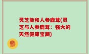 灵芝能和人参鹿茸(灵芝与人参鹿茸：强大的天然健康宝藏)