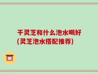 干灵芝和什么泡水喝好(灵芝泡水搭配推荐)