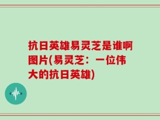 抗日英雄易灵芝是谁啊图片(易灵芝：一位伟大的抗日英雄)