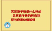 灵芝孢子粉是什么样的_灵芝孢子粉的形态特征与应用价值解析