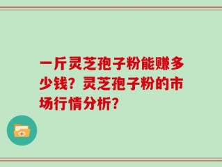 一斤灵芝孢子粉能赚多少钱？灵芝孢子粉的市场行情分析？