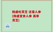 阳虚吃灵芝 还是人参(阳虚宜食人参 而非灵芝)