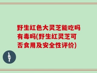 野生红色大灵芝能吃吗有毒吗(野生红灵芝可否食用及安全性评价)