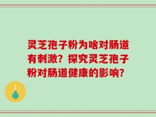 灵芝孢子粉为啥对肠道有刺激？探究灵芝孢子粉对肠道健康的影响？