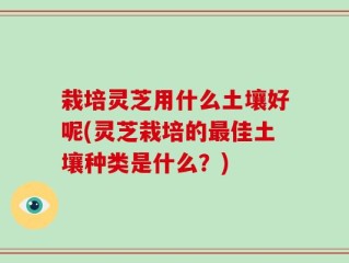 栽培灵芝用什么土壤好呢(灵芝栽培的最佳土壤种类是什么？)