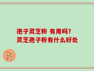 孢子灵芝粉 有用吗？灵芝孢子粉有什么好处