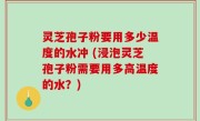 灵芝孢子粉要用多少温度的水冲 (浸泡灵芝孢子粉需要用多高温度的水？)