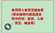 参灵草人参灵芝蛹虫草(草本植物与昆虫结合的中药材：参灵、人参、灵芝、蛹虫草)