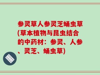 参灵草人参灵芝蛹虫草(草本植物与昆虫结合的中药材：参灵、人参、灵芝、蛹虫草)