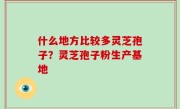什么地方比较多灵芝孢子？灵芝孢子粉生产基地