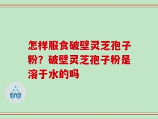 怎样服食破壁灵芝孢子粉？破壁灵芝孢子粉是溶于水的吗