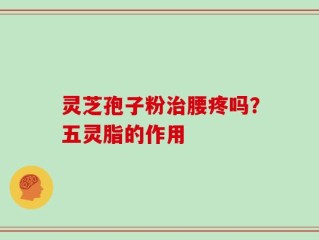 灵芝孢子粉治腰疼吗？五灵脂的作用
