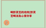 喝野灵芝的功效(野灵芝喝法及心得分享