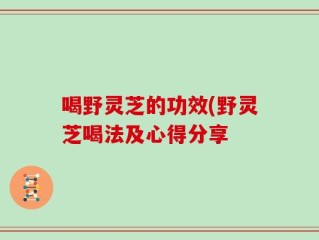 喝野灵芝的功效(野灵芝喝法及心得分享