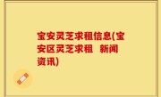 宝安灵芝求租信息(宝安区灵芝求租  新闻资讯)