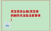 灵芝茶怎么拍(灵芝茶的制作方法及注意事项)