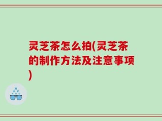 灵芝茶怎么拍(灵芝茶的制作方法及注意事项)