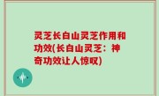 灵芝长白山灵芝作用和功效(长白山灵芝：神奇功效让人惊叹)