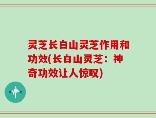 灵芝长白山灵芝作用和功效(长白山灵芝：神奇功效让人惊叹)