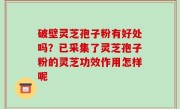 破壁灵芝孢子粉有好处吗？已采集了灵芝孢子粉的灵芝功效作用怎样呢