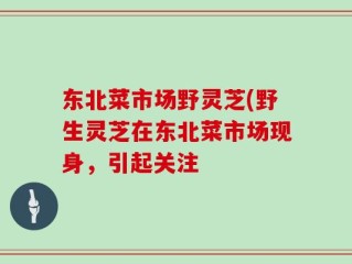 东北菜市场野灵芝(野生灵芝在东北菜市场现身，引起关注