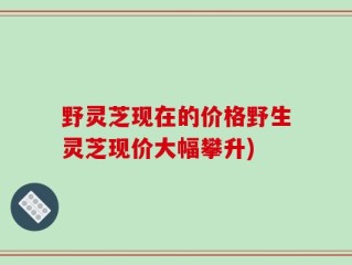 野灵芝现在的价格野生灵芝现价大幅攀升)