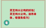 灵芝炖小公鸡的好处(灵芝炖小公鸡，滋养身体，增强免疫力)