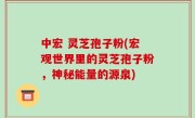 中宏 灵芝孢子粉(宏观世界里的灵芝孢子粉，神秘能量的源泉)