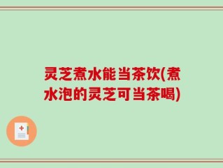 灵芝煮水能当茶饮(煮水泡的灵芝可当茶喝)