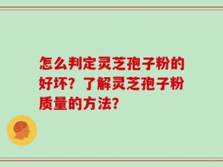 怎么判定灵芝孢子粉的好坏？了解灵芝孢子粉质量的方法？
