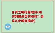 赤灵芝哪样算成熟(如何判断赤灵芝成熟？简单几步教你搞定)