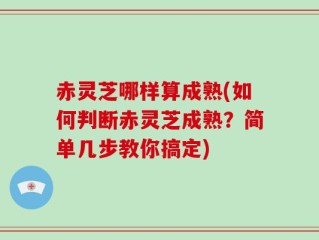赤灵芝哪样算成熟(如何判断赤灵芝成熟？简单几步教你搞定)
