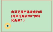肉灵芝是尸体变成的吗(肉灵芝是否为尸体转化而来？)