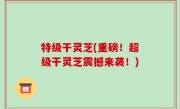 特级干灵芝(重磅！超级干灵芝震撼来袭！)