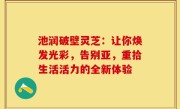 池润破壁灵芝：让你焕发光彩，告别亚，重拾生活活力的全新体验