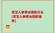 灵芝人参煮水搭配什么(灵芝人参煮水搭配推荐)