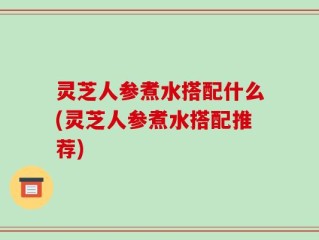 灵芝人参煮水搭配什么(灵芝人参煮水搭配推荐)