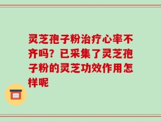 灵芝孢子粉治疗心率不齐吗？已采集了灵芝孢子粉的灵芝功效作用怎样呢