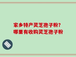 家乡特产灵芝孢子粉？哪里有收购灵芝孢子粉