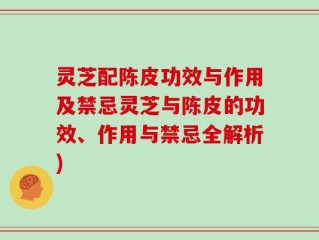灵芝配陈皮功效与作用及禁忌灵芝与陈皮的功效、作用与禁忌全解析)