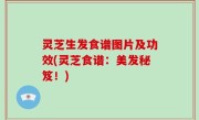 灵芝生发食谱图片及功效(灵芝食谱：美发秘笈！)