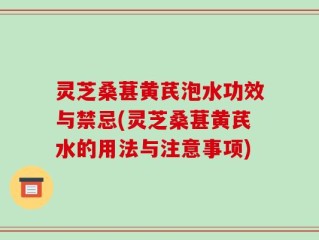 灵芝桑葚黄芪泡水功效与禁忌(灵芝桑葚黄芪水的用法与注意事项)