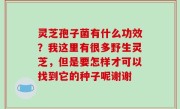 灵芝孢子菌有什么功效？我这里有很多野生灵芝，但是要怎样才可以找到它的种子呢谢谢