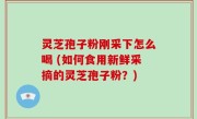 灵芝孢子粉刚采下怎么喝 (如何食用新鲜采摘的灵芝孢子粉？)