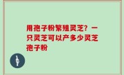 用孢子粉繁殖灵芝？一只灵芝可以产多少灵芝孢子粉