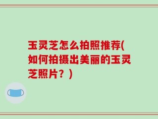 玉灵芝怎么拍照推荐(如何拍摄出美丽的玉灵芝照片？)