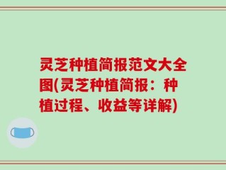 灵芝种植简报范文大全图(灵芝种植简报：种植过程、收益等详解)