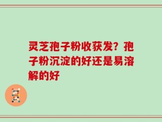 灵芝孢子粉收获发？孢子粉沉淀的好还是易溶解的好